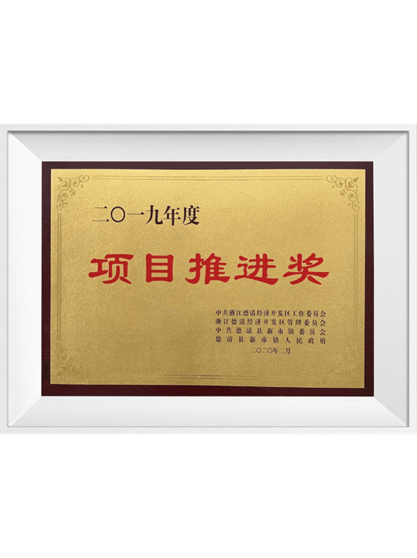 2019年度 項目推進獎