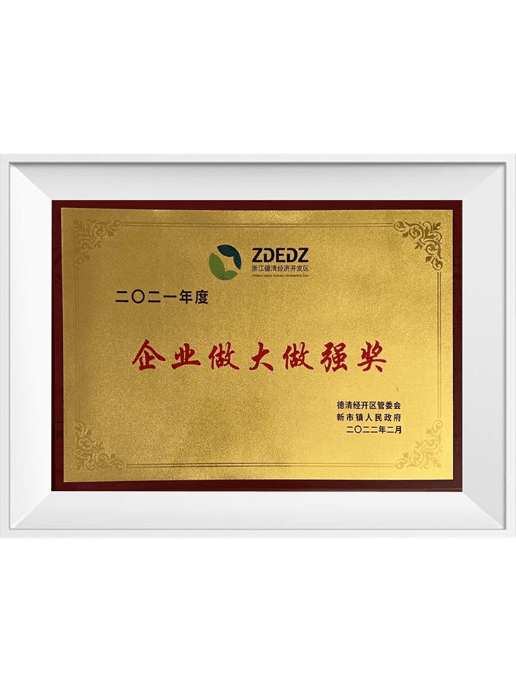2021年度 企業(yè)做大做強獎